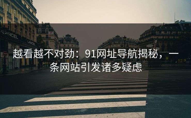 越看越不对劲：91网址导航揭秘，一条网站引发诸多疑虑